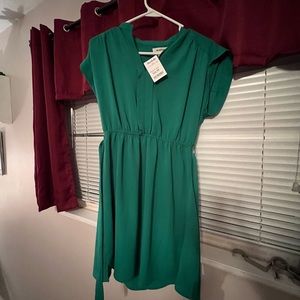 Brand new, never worn green dress